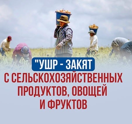 ушр закят.jpg